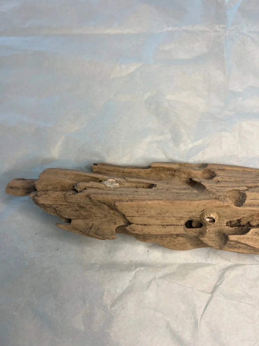Natural Driftwood Decor found at Potomac River- Brown - Picture 4 of 14